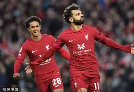 AYX游戏入口-底特律活塞队总冠军